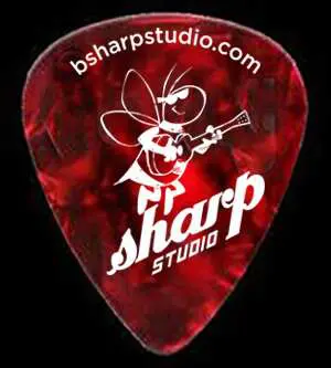 B_SHARP_big_pick A guitar pick with the name of a character.